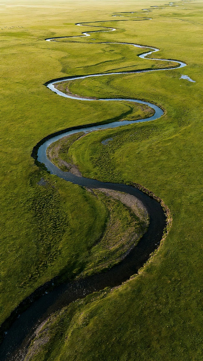 A winding river flows through a vast green meadow.